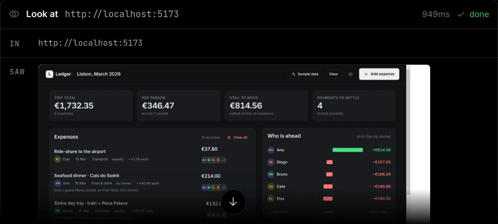 A Look at card for http://localhost:5173 in the conversation, with the screenshot Torki took shown under SAW