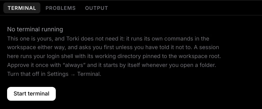 The bottom panel open on the Terminal tab, showing No terminal running, an explanation, and a Start terminal button, with the Terminal, Problems and Output tabs above